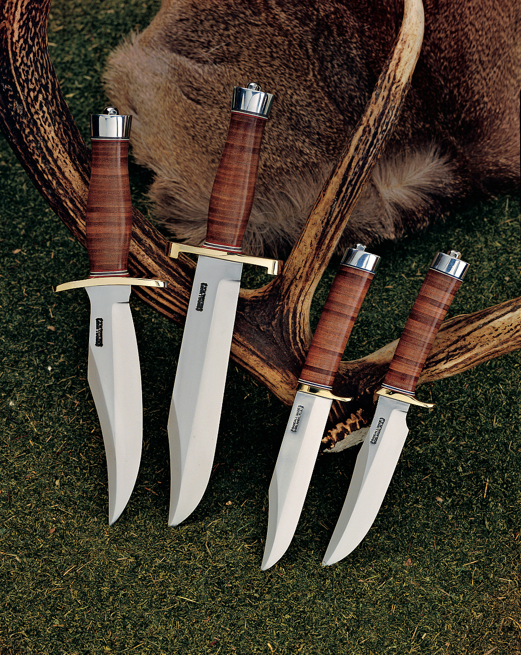 Model 12 - 8" Bear Bowie